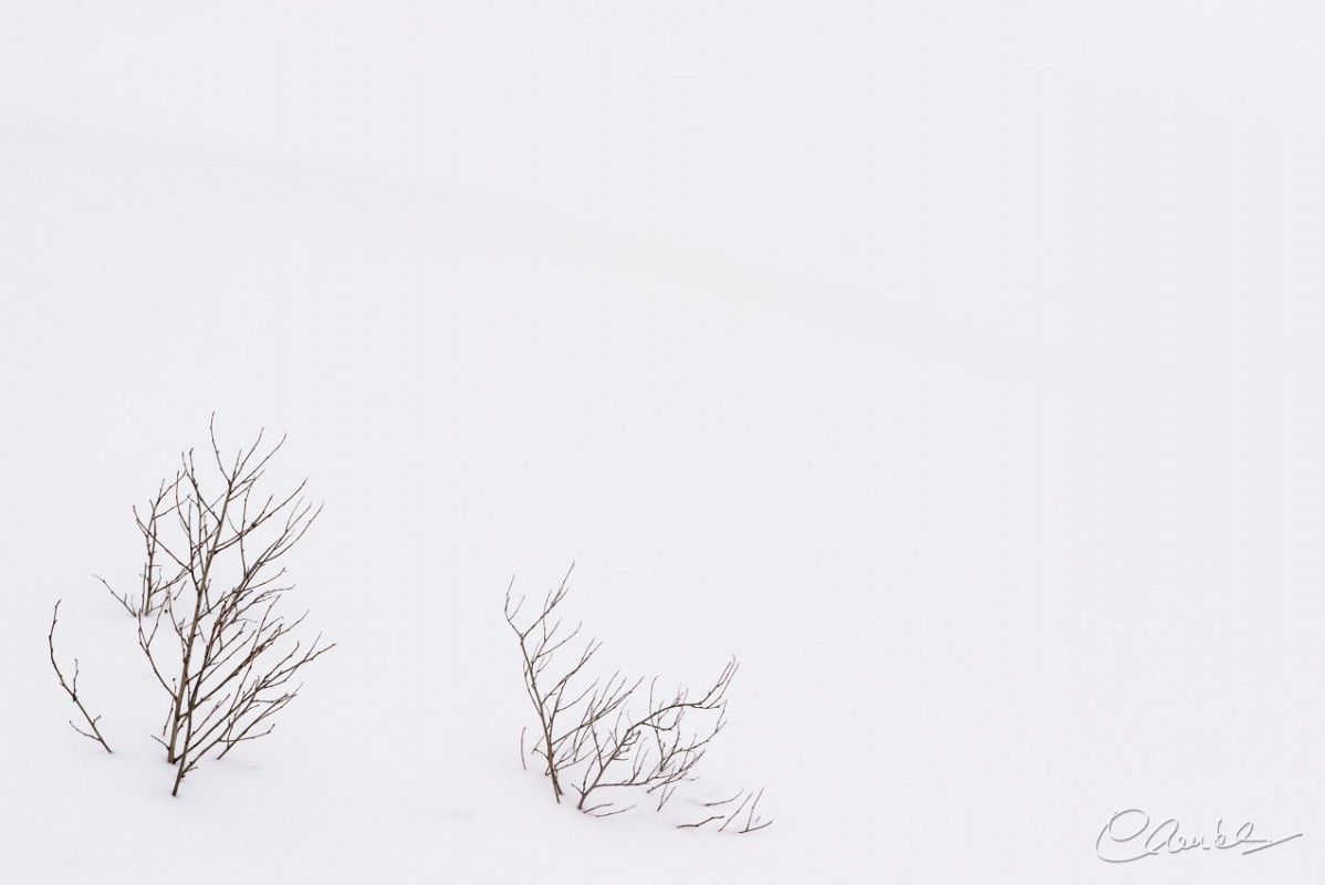 En verre et contre tout